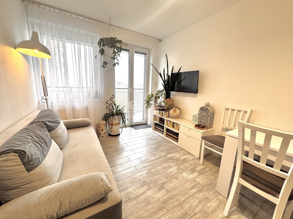 Mieszkania na wynajem ŚRÓDMIEŚCIE-CENTRUM SZCZECIN