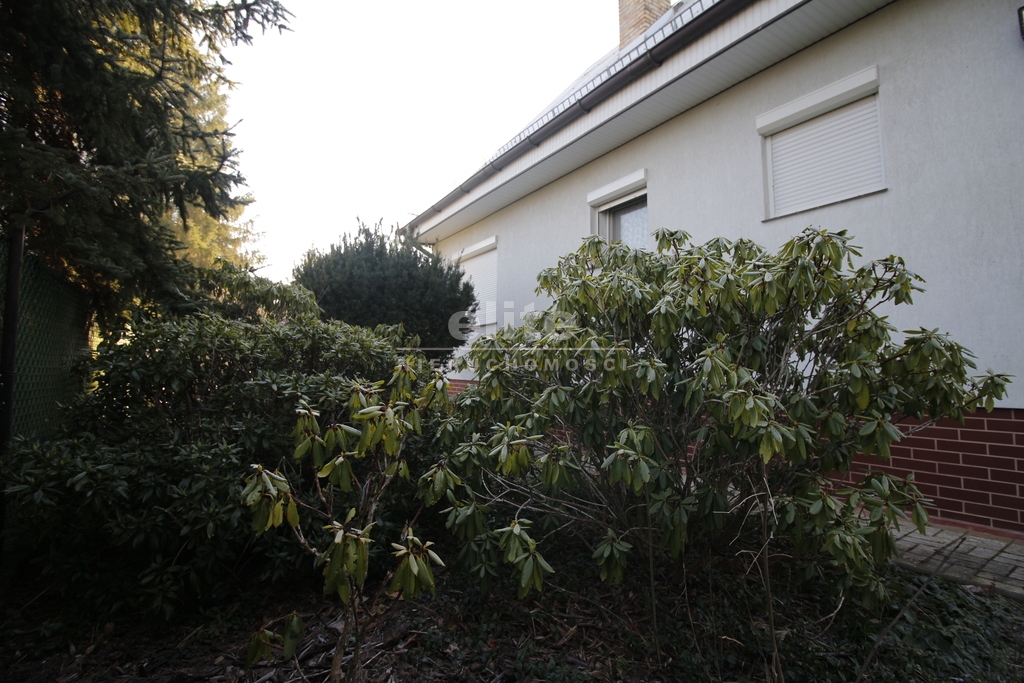 Domy na sprzedaż ZIELENIEWO