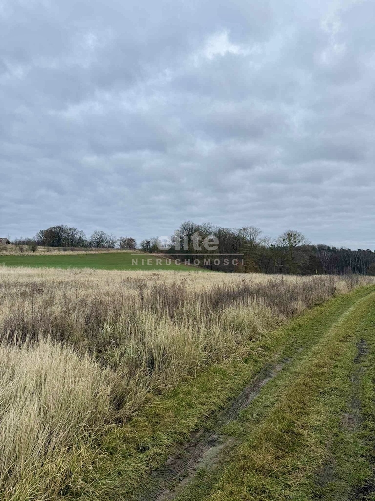 Działki na sprzedaż KAMIENIEC