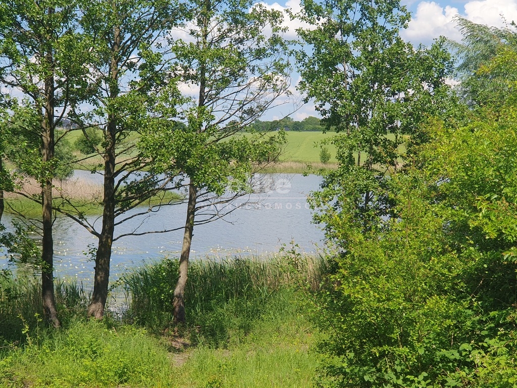 Działki na sprzedaż ZIELENIEWO