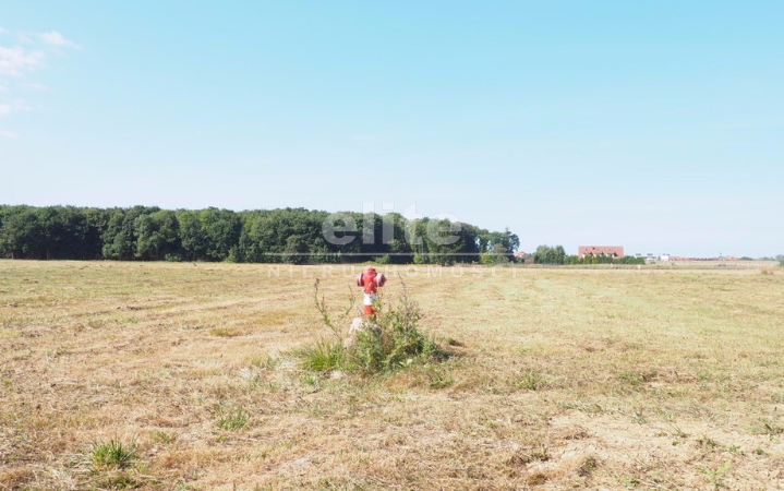 Działki na sprzedaż ŚLIWIN